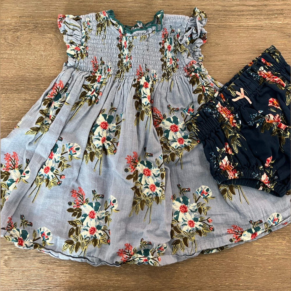 Pink Chicken Dress. 6-12 months. Worn once.